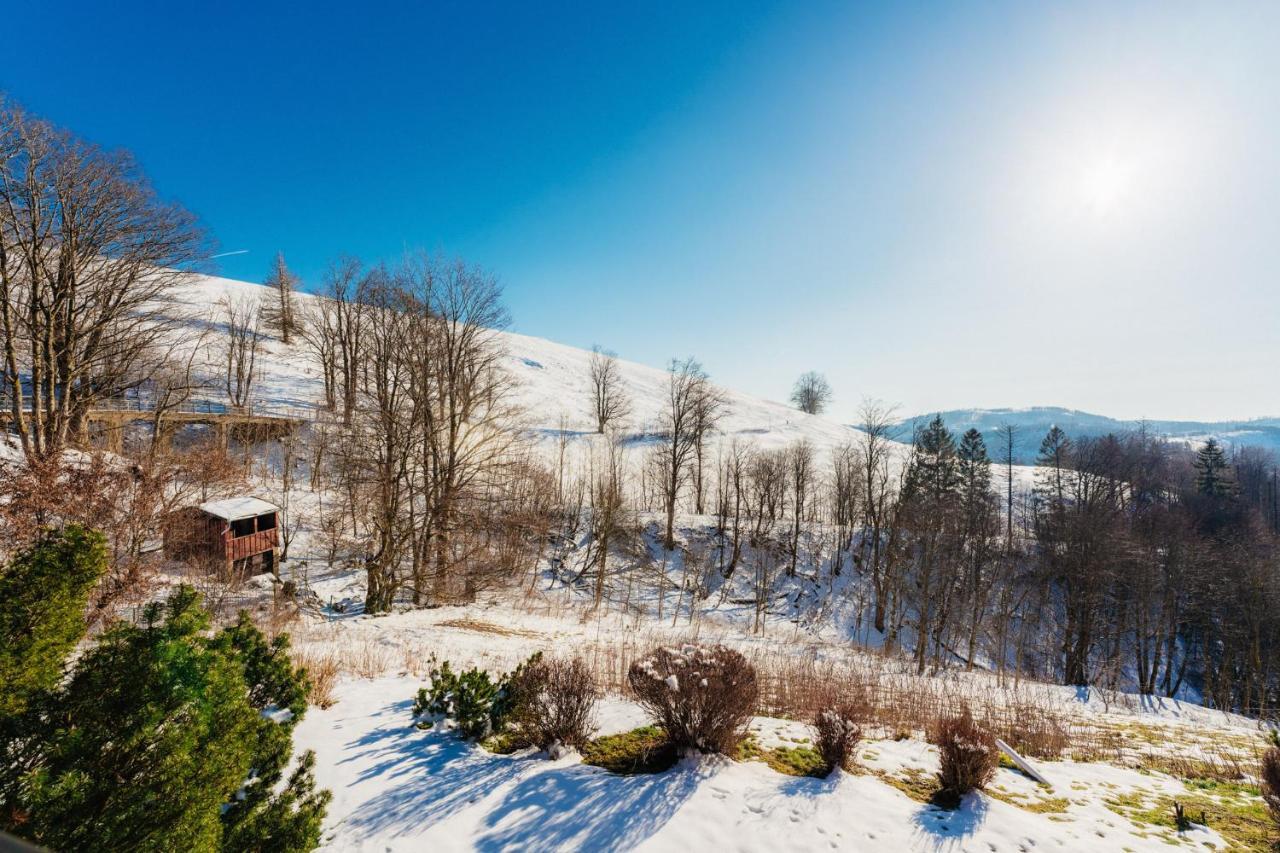 Bergschwalbe St. Andreasberg Lägenhet Sankt Andreasberg Exteriör bild